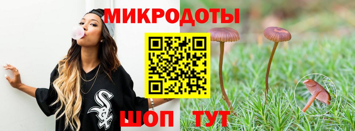 Псилоцибиновые грибы мухоморы Сальск