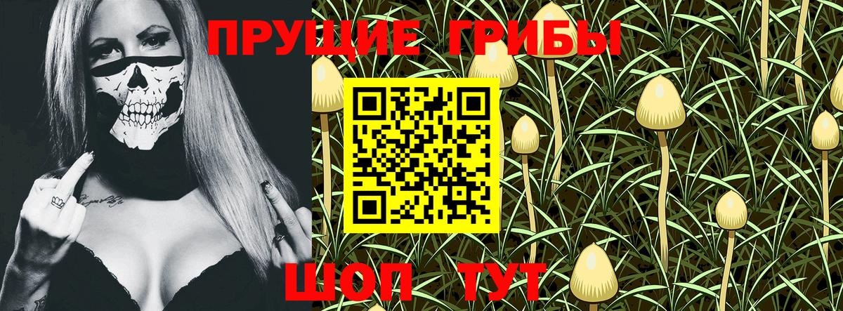 Сальск  Галлюциногенные грибы GOLDEN TEACHER  Галлюциногенные грибы GOLDEN TEACHER  Вход с VPN 